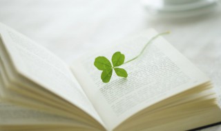 人才引进是什么意思 人才引进的含义