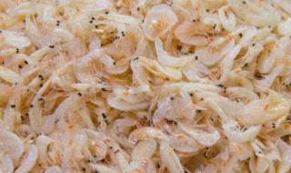 夏天怎样储存虾皮 虾皮保存方法