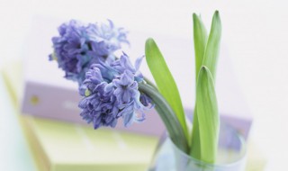 不消停是什么意思 不消停的意思