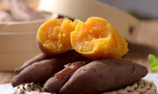 山竽怎样储存 山竽储存的方法