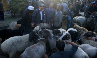 2021年新疆古尔邦节假日 关于2021年新疆古尔邦节假日