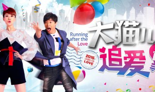 大猫儿追爱记剧情介绍 大猫儿追爱记剧情简介