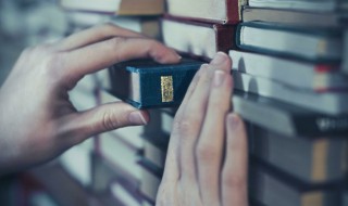 王蒙代表作 王蒙作品简介