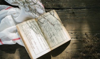 布衣之交不可忘的意思 布衣之交不可忘是什么意思