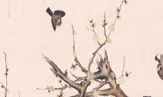 晏子谏杀烛邹景公好弋 关于晏子谏杀烛邹景公好弋的文章