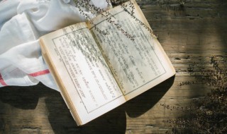 疏疏朗朗是什么意思 疏疏朗朗造句