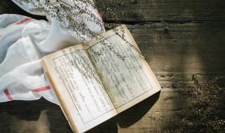 一行白鹭上青天的意思 一行白鹭上青天原文及翻译