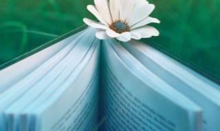 三国演义人物性格特点 三国演义中人物性格分析