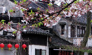 关于西塘的句子 有关西塘的句子