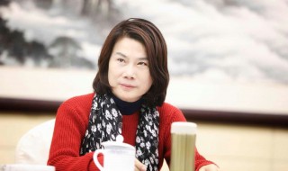 董明珠个人经历简短 董明珠个人经历