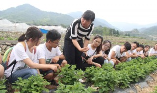 实践的特点 关于实践的特点
