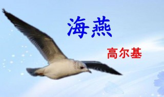高尔基海燕原文 高尔基海燕原文介绍