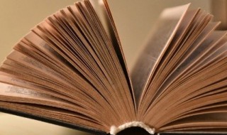 鹤唳华亭什么意思 鹤唳华亭的解释