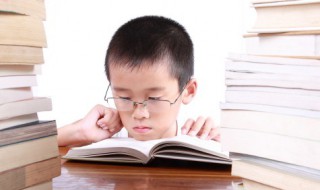 合欢树原文 关于合欢树原文