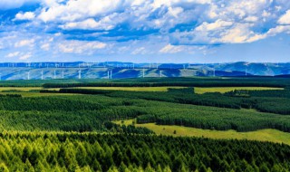 塞罕坝事迹简介 塞罕坝事迹介绍