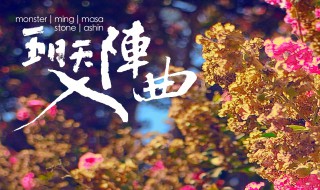 夜未央心未凉歌词 入阵曲歌曲介绍