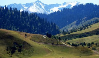 温带大陆性气候特点 温带大陆性气候特点简单介绍