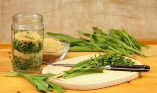 车前草晒干泡水喝 鲜车前草可以泡水喝吗