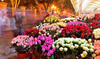 鲜花的包装方法教程 鲜花如何包装