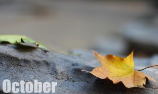 october是几月 october的来历