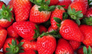 草莓怎样种植 怎样种植草莓