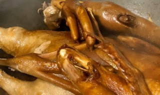 开平焖鹅怎么做 开平焖鹅如何做