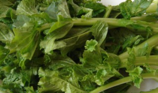 干萝卜缨怎么做好吃 干萝卜如何缨做好吃