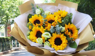 向日葵和玫瑰的花语和寓意 向日葵和玫瑰放一起的寓意