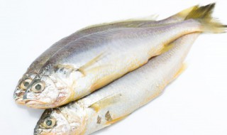 香菇和鱼可以一起吃吗 香菇和鱼能不能一起吃