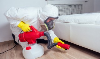 蟑螂最怕什么东西 蟑螂最怕哪些东西