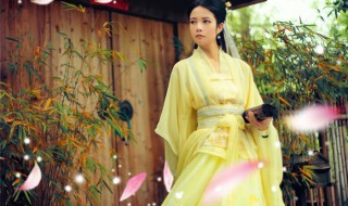 倚天屠龙记中的黄衫女子是什么人 倚天屠龙记中的黄衫女子介绍