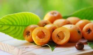 水果放久了会有小飞虫 怎么避免水果放久了会有小飞虫