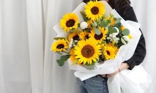 向日葵毕业花束的花语 向日葵毕业花束的花语介绍