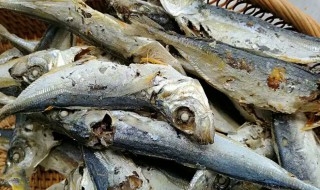 咸海鱼干怎么做好吃 咸海鱼干的做法