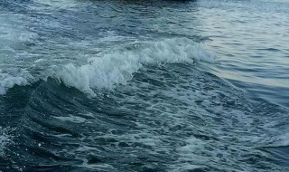 氵字旁的字与什么有关 氵字旁的字有哪些