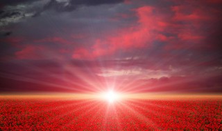 头伏是从哪天开始的 头伏是什么意思