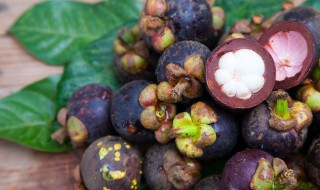 山竹树苗适合什么地方种植 哪里适合种植山竹