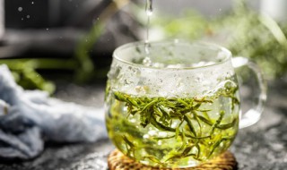 君山银针是绿茶吗 君山银针是不是绿茶