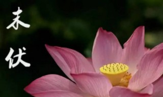 末伏几号 2021年末伏是什么时候