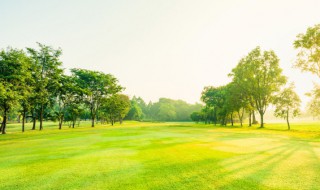 关于景色的句子 写景色的话