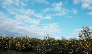 关于自然的名言 关于自然名言