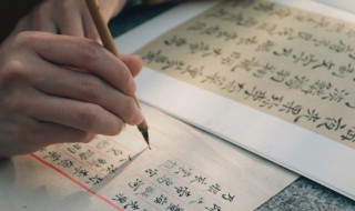 箸是什么意思 箸意思是什么