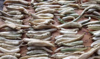 白辣椒的制作方法 白辣椒怎么制作