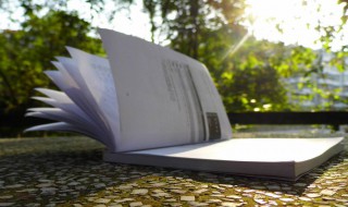 special什么意思 special解释