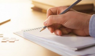 未若柳絮因风起翻译 未若柳絮因风起解释