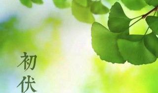 初伏怎么驱寒 初伏驱寒的五种方法