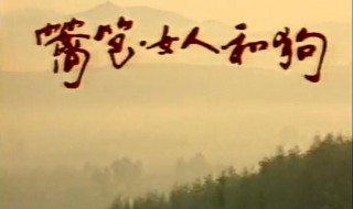 篱笆女人狗电视剧主题曲歌词 篱笆女人狗电视剧主题曲的演唱者是谁