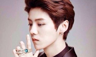 关于鹿晗的资料大全 关于鹿晗的介绍大全