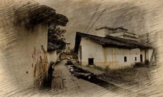 乡愁歌词 乡愁歌曲介绍