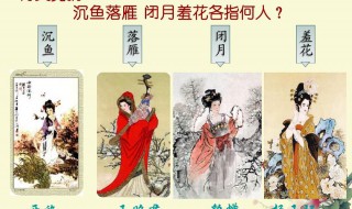 羞花是谁 谁是羞花